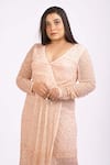 Ambrosia_Peach V Neck Embroidered Gown_at_Aza_Fashions