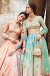 Anita Dongre_Love-in-a-mist Lehenga_Online_at_Aza_Fashions