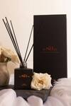 wiSdom Fragrances by Sheetal Desai_Amber And Velvet Rose Reed Diffuser (Set of 1)_Online_at_Aza_Fashions