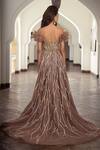 Shop_Amit GT_Brown Tulle Yasmine Feather Embellished Gown_at_Aza_Fashions