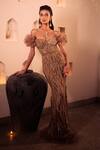 Amit GT_Brown Tulle Yasmine Feather Embellished Gown_Online_at_Aza_Fashions