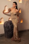 Buy_Amit GT_Brown Tulle Aurora Themed Work Plunge Yasmine Feather Embellished Gown _Online_at_Aza_Fashions