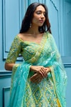 Shop_Angad Singh_Green Lehenga And Blouse Organza Dupatta Net Interlining Satin V Neck Set_at_Aza_Fashions