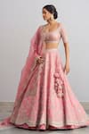 Anushree Reddy_Pink Noor Organza Lehenga Set_Online_at_Aza_Fashions