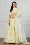 Buy_Aisha Rao_Yellow Embroidered Lehenga Set_at_Aza_Fashions