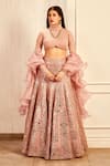 Buy_Asra_Pink Organza Embroidered Foil Turtle Neck Collar Lehenga Set _at_Aza_Fashions