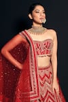 Asra_Red Raw Silk Bead Work, Sequins Embroidered Strapless Choli Lehenga Set _at_Aza_Fashions