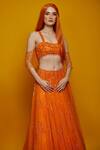 Asra_Orange Net Embellished Lehenga Set_Online_at_Aza_Fashions