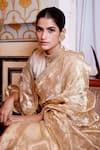 Atelier Shikaarbagh_Gold Silk Tissue Embroidery Floral Butterfly Saree  _at_Aza_Fashions