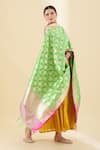 Naintara Bajaj_Green Woven Floral Banarasi Silk Dupatta_Online_at_Aza_Fashions