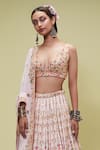Buy_Tamanna Punjabi Kapoor_Pink Georgette V Neck Mirror Embellished Bridal Lehenga Set _Online_at_Aza_Fashions