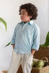 Buy_Littleens_Blue Cotton Organic Shirt _Online_at_Aza_Fashions