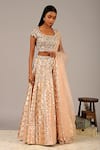 Nidhika Shekhar_Pink Silk Chanderi U Neck Brocade Lehenga Set _Online_at_Aza_Fashions