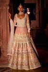 Buy_Reynu Taandon_Peach Lining Shantoon, Soft Net Sequins, Embellished Anarkali With Dupatta_at_Aza_Fashions