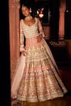 Reynu Taandon_Peach Lining Shantoon, Soft Net Sequins, Embellished Anarkali With Dupatta_Online_at_Aza_Fashions