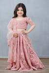 Buy_Torani_Pink Net, Silk, Cotton Embroidery Floral Lehenga Set _Online_at_Aza_Fashions