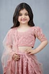Shop_Torani_Pink Net, Silk, Cotton Embroidery Floral Lehenga Set _Online_at_Aza_Fashions