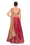 Shop_Salt And Spring_Maroon Net, Chanderi, Dupion Cutdana, Sequins Scoop Leaf Embroidered Lehenga Set _at_Aza_Fashions