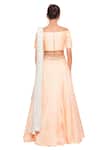 Shop_Salt And Spring_Peach Net, Chanderi Leaf Motifs One Shoulder Lehenga Set With Off Blouse _at_Aza_Fashions