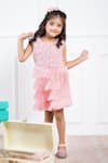 Hoity Moppet_Pink Tulle Embroidery Tiered Fringe Dress _Online_at_Aza_Fashions