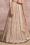 Buy_Tarun Tahiliani_Beige Silk Tissue Embroidery V Neck Chikankari Bridal Lehenga Set _Online_at_Aza_Fashions