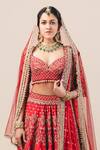 Tarun Tahiliani_Red Lehenga And Blouse Raw Silk Dupatta Soft Embroidered Panelled Bridal Set_Online_at_Aza_Fashions