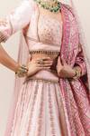 Shop_Tarun Tahiliani_Pink Lehenga And Blouse Raw Silk Dupatta Bandhani Veil Tulle Bridal Set _Online_at_Aza_Fashions