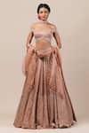 Buy_Tarun Tahiliani_Pink Tulle Velvet Lehenga Set _at_Aza_Fashions