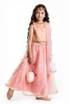 Byb Premium_Pink Floral Pattern Blouse Lehenga Set For Girls_Online_at_Aza_Fashions