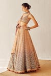 Cedar & Pine_Gold Organza Printed Floral V Neck Autumn Embroidered Lehenga Set _Online_at_Aza_Fashions