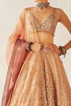 Buy_Cedar & Pine_Gold Organza Printed Floral V Neck Autumn Embroidered Lehenga Set _Online_at_Aza_Fashions