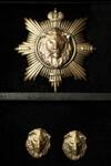 Buy_Cosa Nostraa_Gold Lion King Brooch And Collar Tips Set_at_Aza_Fashions