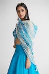 Megha Bansal Blue Silk Organza Lehenga Set at Aza Fashions Megha Bansal_Blue Silk Organza Lehenga Set _at_Aza_Fashions