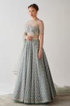 Cedar & Pine_Grey Tulle Embroidered Round Organza Lehenga Set _Online_at_Aza_Fashions