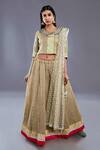 Buy_Divya Kanakia_Beige Linen Embellished Sequins Shawl Collar Lehenga Set With Dupatta _at_Aza_Fashions