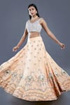 Divya Kanakia_Orange Raw Silk, Net Sequins, Glass Pipe And Pearl V Neck Embroidered Lehenga Set _Online_at_Aza_Fashions