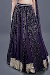 Shop_Divya Kanakia_Purple Georgette Sequins One Shoulder Lehenga And Draped Blouse Set _Online_at_Aza_Fashions