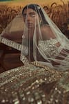 Angad Singh_Grey Lehenga And Blouse Organza Hand Embroidered 3d Sequins Plunge Bridal Set_at_Aza_Fashions