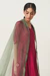 Dot_Blue Organza Embroidered Dupatta _Online_at_Aza_Fashions
