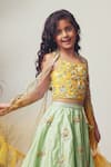 Shop_Priyanka Jain_Green Silk Embroidery, Beads, Sequins Lehenga Set _at_Aza_Fashions