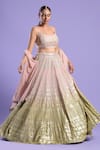 Buy_Two Sisters By Gyans_Green Organza Embroidered Sequin Work U Neck Lehenga Set _at_Aza_Fashions