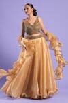 Buy_Two Sisters By Gyans_Gold Organza, Blouse Net Cutdana And Sequin Work V Neck Lehenga Set _at_Aza_Fashions