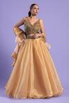Two Sisters By Gyans_Gold Organza, Blouse Net Cutdana And Sequin Work V Neck Lehenga Set _Online_at_Aza_Fashions
