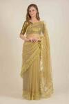 Rina Dhaka_Gold Net Hand Embroidered Saree_Online_at_Aza_Fashions