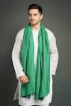 Buy_DUSALA_Green Pashmina Stole _at_Aza_Fashions