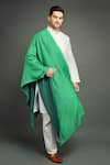 DUSALA_Green Pashmina Stole _Online_at_Aza_Fashions