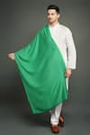 Shop_DUSALA_Green Pashmina Stole _Online_at_Aza_Fashions