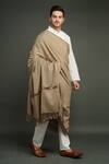DUSALA_Beige Pashmina Shawl_Online_at_Aza_Fashions