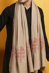 Buy_Dusala_Beige Handwoven Pashmina Shawl_Online_at_Aza_Fashions