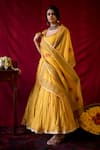 Buy_Nini Mishra_Yellow Silk Organza Embroidered Dupatta _at_Aza_Fashions